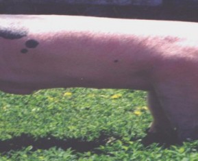 Adventures In Dating V: The State School Slampig (Part II)