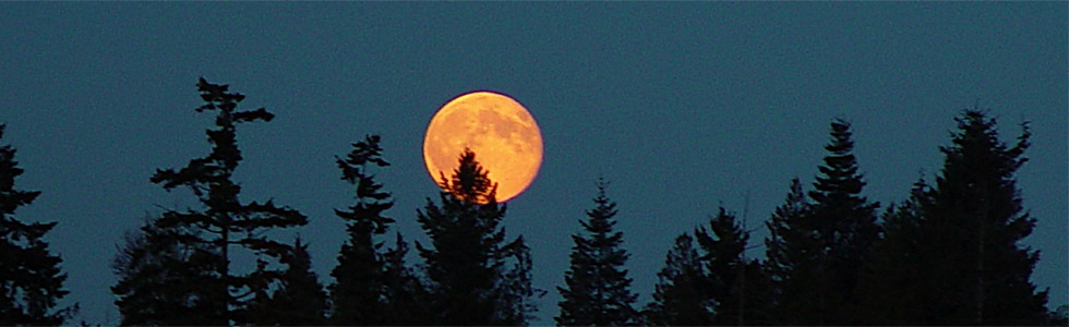 Local Ghosts, Dead Fish, Jinmenken, Perigee Moons And More!