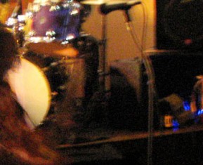 "If You Must...": The Swan Fungus Guide To SXSW 2011