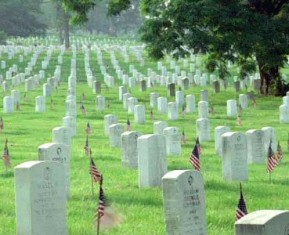 Memorial Daze