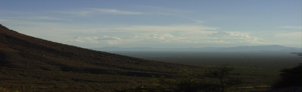 Chapter 11: Joey Burns' Guide To Tucson, Arizona
