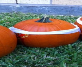 The Top Ten Halloween Costume Ideas For 2011