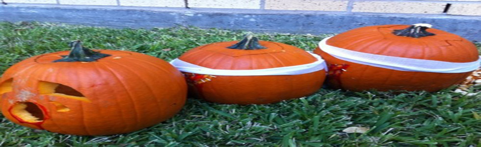 The Top Ten Halloween Costume Ideas For 2011