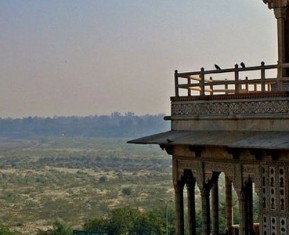 From Delhi (Again)
