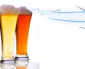Swan Fungus Beer Snob Update